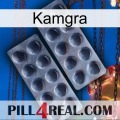 Kamgra 31